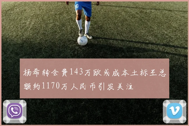 杨希转会费143万欧或成本土标王总额约1170万人民币引发关注