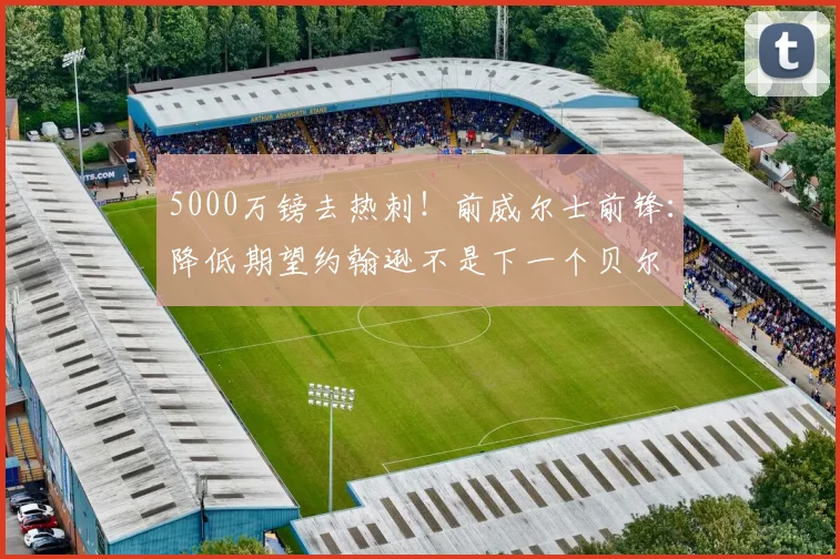 5000万镑去热刺！前威尔士前锋：降低期望约翰逊不是下一个贝尔
