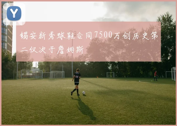 锡安新秀球鞋合同7500万创历史第二仅次于詹姆斯
