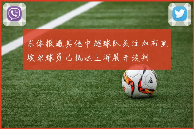 东体报道其他中超球队关注加布里埃尔球员已抵达上海展开谈判