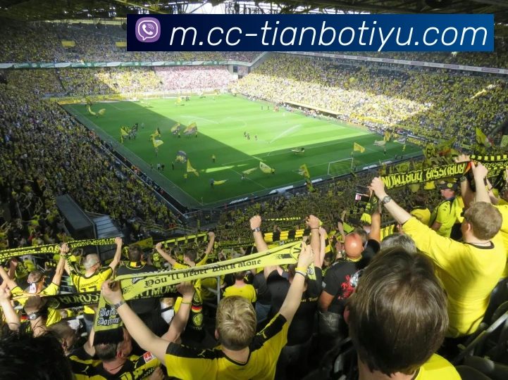 天博体育APP 高清赛事图